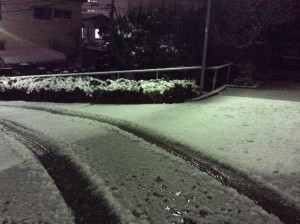 IMG_2475