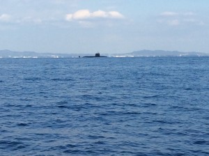 IMG_2783