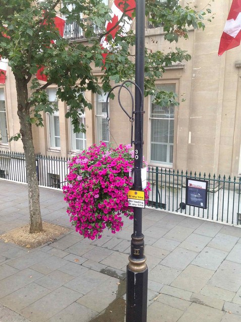 Photo_14