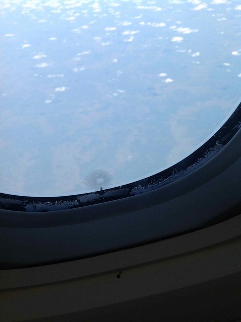Photo_33