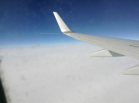 Img_7855 Img_7855