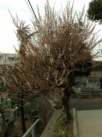 Img_7870 Img_7870